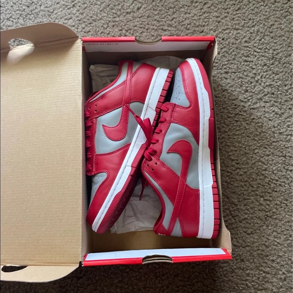Nike dunk unlv